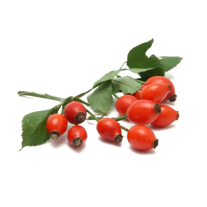 Dzika róża Equiherbs 1kg