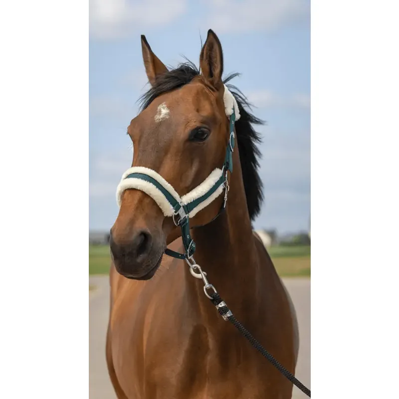 Kantar EquiTheme Nylon Mouton