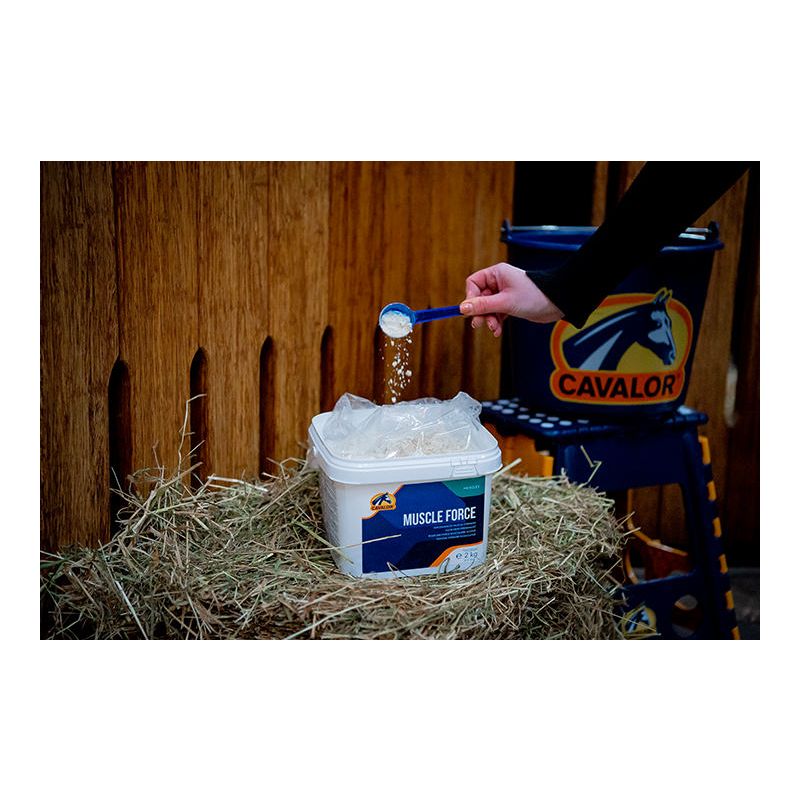 Suplement do budowy mięśni dla konia Cavalor Muscle Force 5 kg