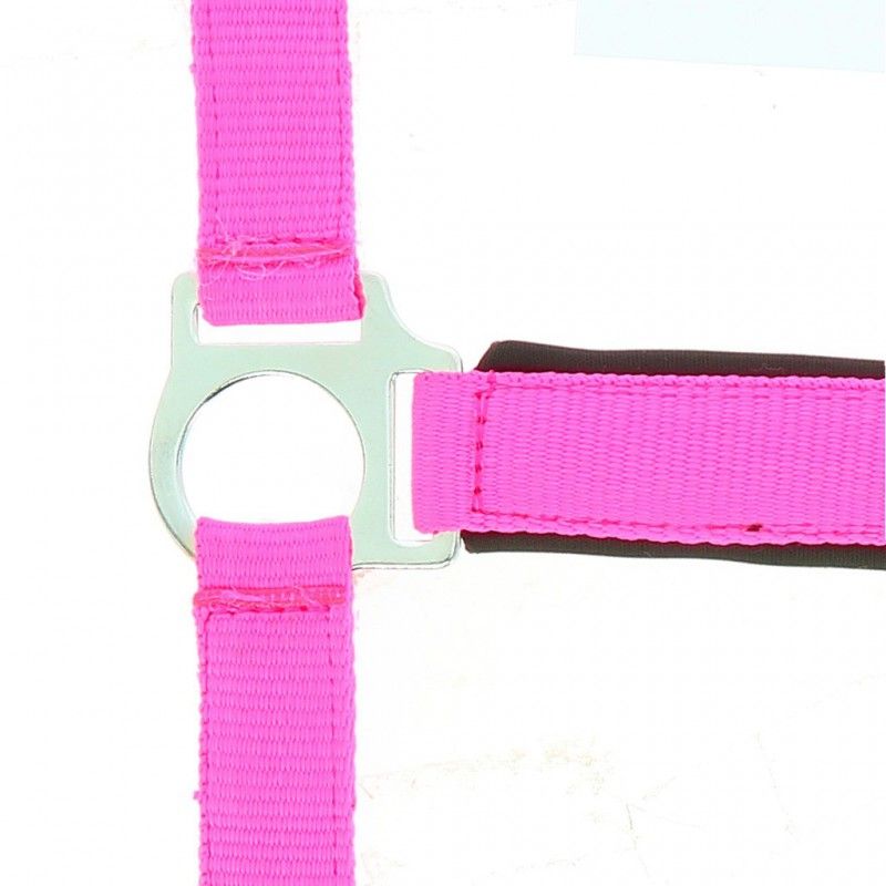 Kantar Norton FLUO