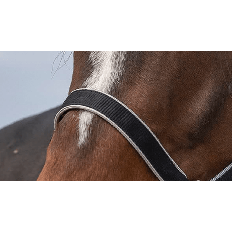 Kantar EquiTheme Nylon Light