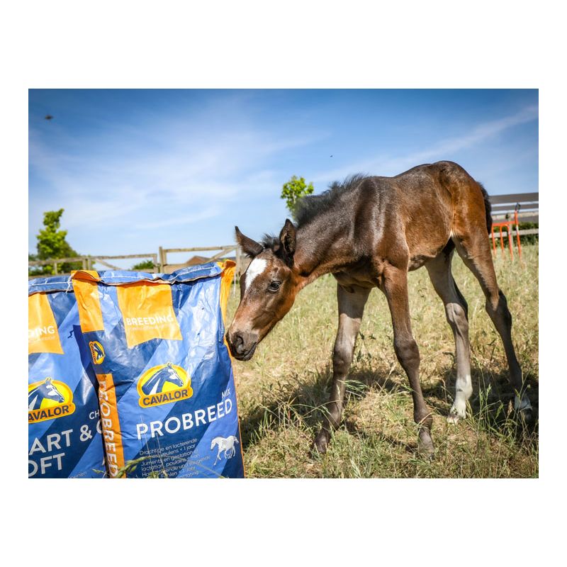 Pasza dla klaczy źrebnych i źrebaków Cavalor Probreed Mix 20 kg