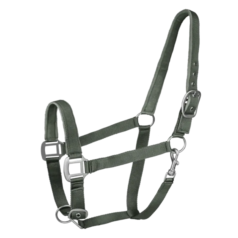 Kantar Waldhausen Satin