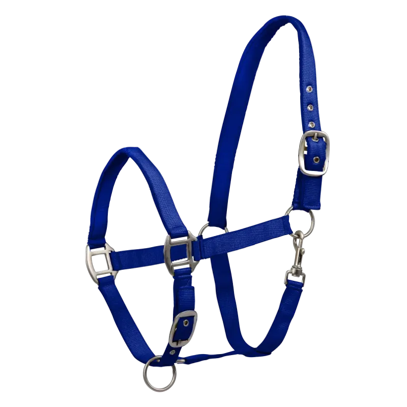 Kantar Waldhausen Satin