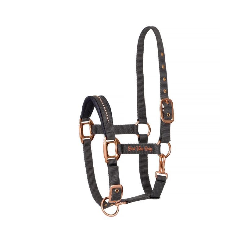 Kantar Equestrian Queen Amsterdam