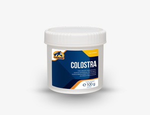 Siara zastępcza dla źrebaka Cavalor Colostra 