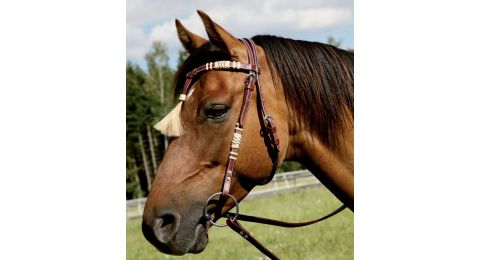 Śrubki do ogłowia West 1 cm