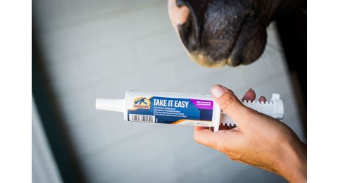 Pasta dla koni nerwowych Cavalor Take It Easy