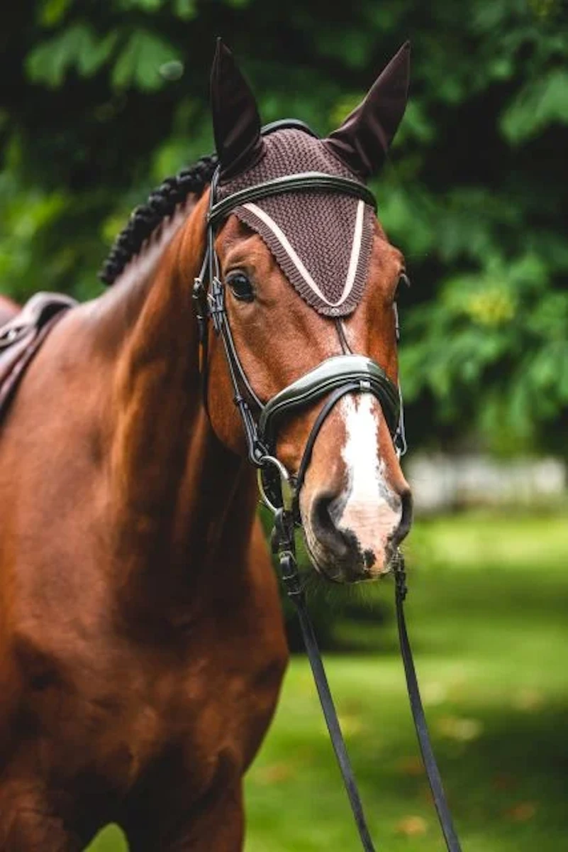 Nauszniki Equestrian Queen Milan