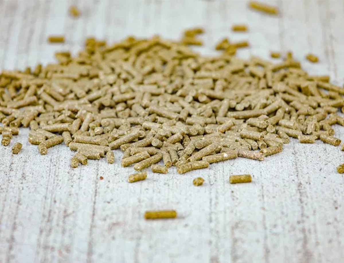 Rozsypane ziarna Tradition Pellet